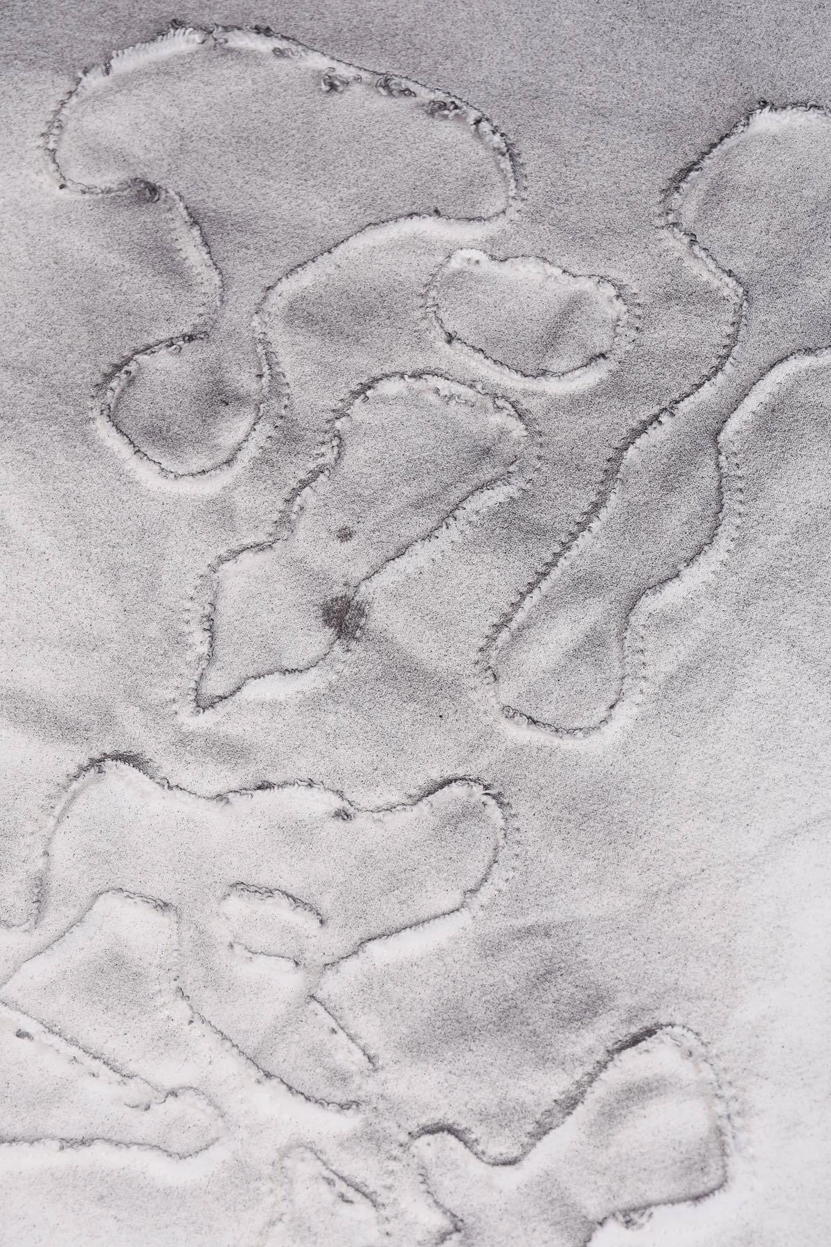 wg.luxury-- 8V Cotton oversize 2colour item: E-F442J1840-2H